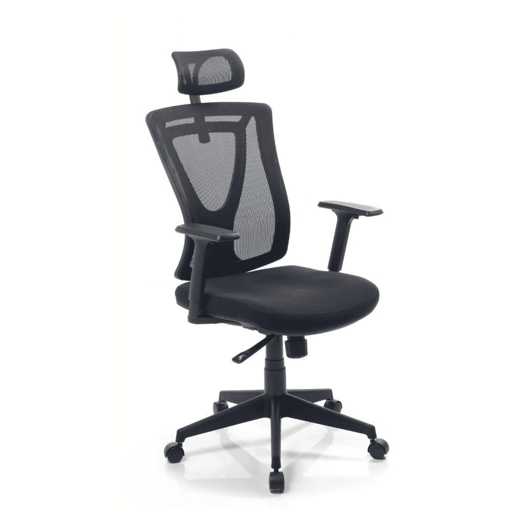 Parox Yönetici Koltuğu Ayarlı Kolçak + Plastik Ayak