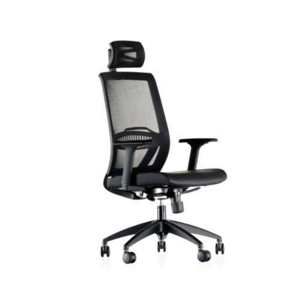 Sandax Yönetici Koltuk Ayarlı Kolçak + Plastik Ayak