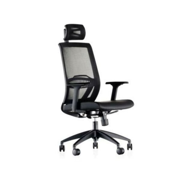 Sandax Yönetici Koltuk Ayarlı Kolçak + Plastik Ayak