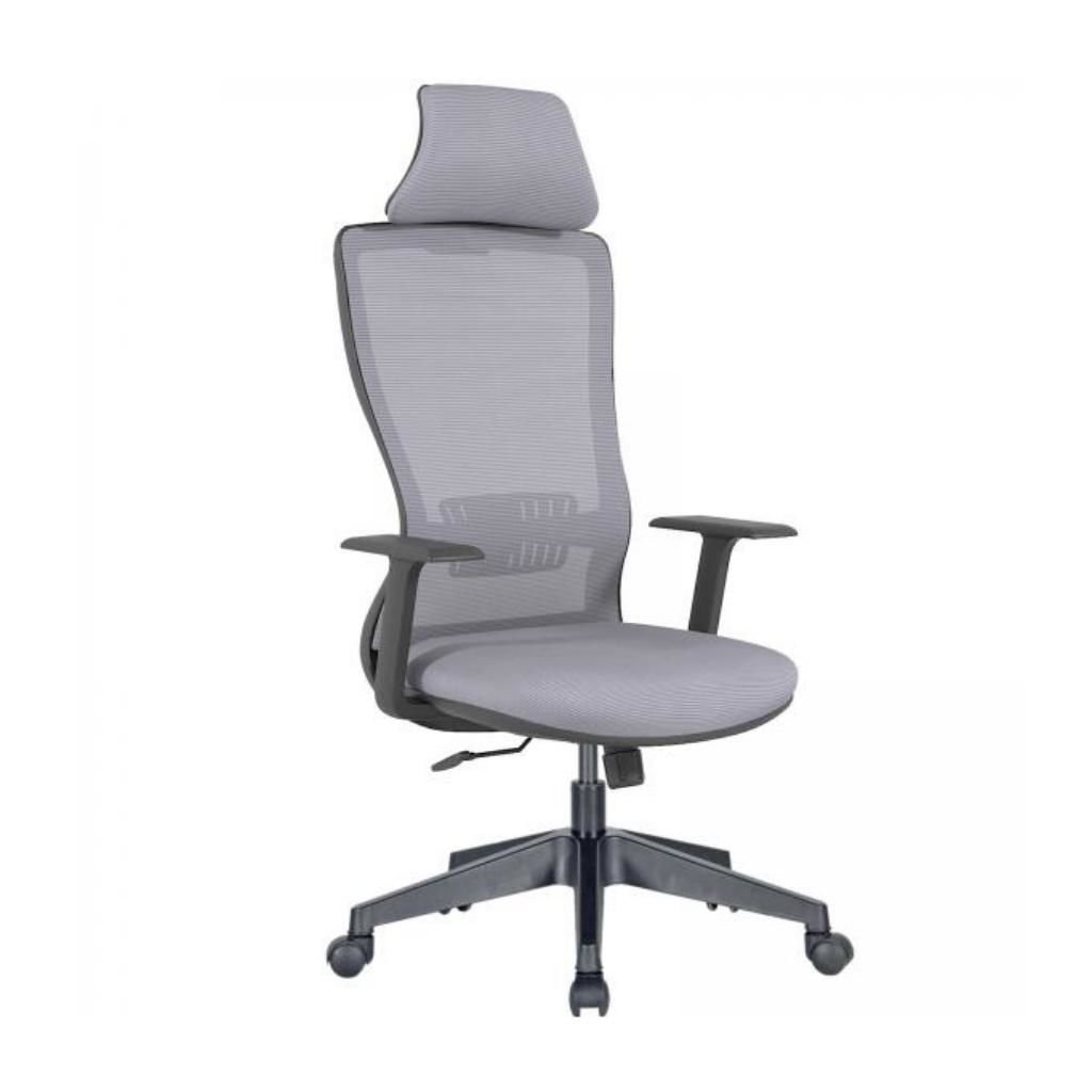 Arya Müdür Koltuk Plastik Ayak ve Sabit Kolçak