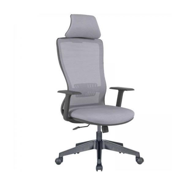 Arya Müdür Koltuk Plastik Ayak ve Sabit Kolçak