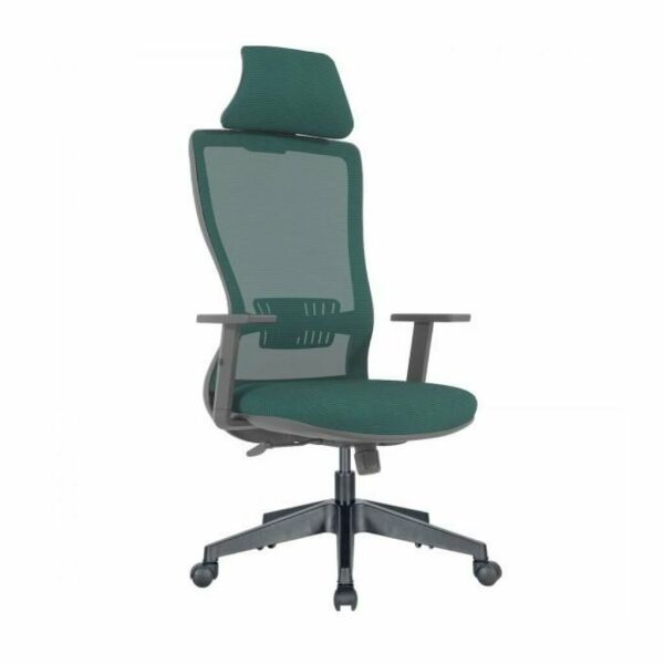 Arya Müdür Koltuk Ayarlı Kolçak + Plastik Ayak