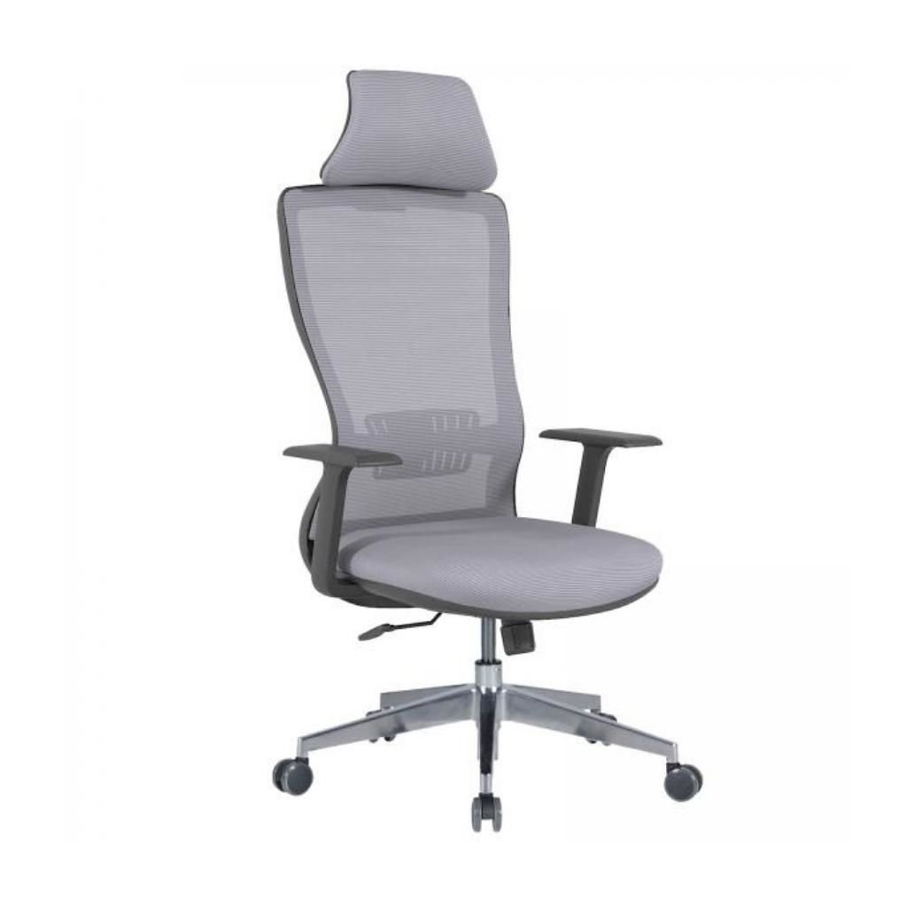 Arya Müdür Koltuk Sabit Kolçak + Alüminyum Ayak