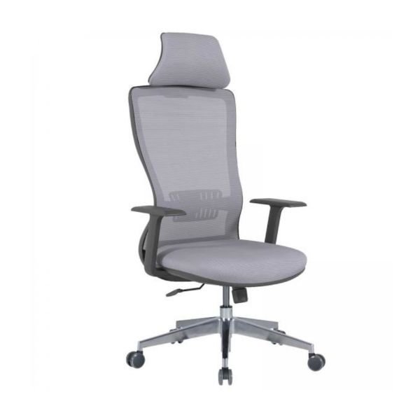 Arya Müdür Koltuk Sabit Kolçak + Alüminyum Ayak