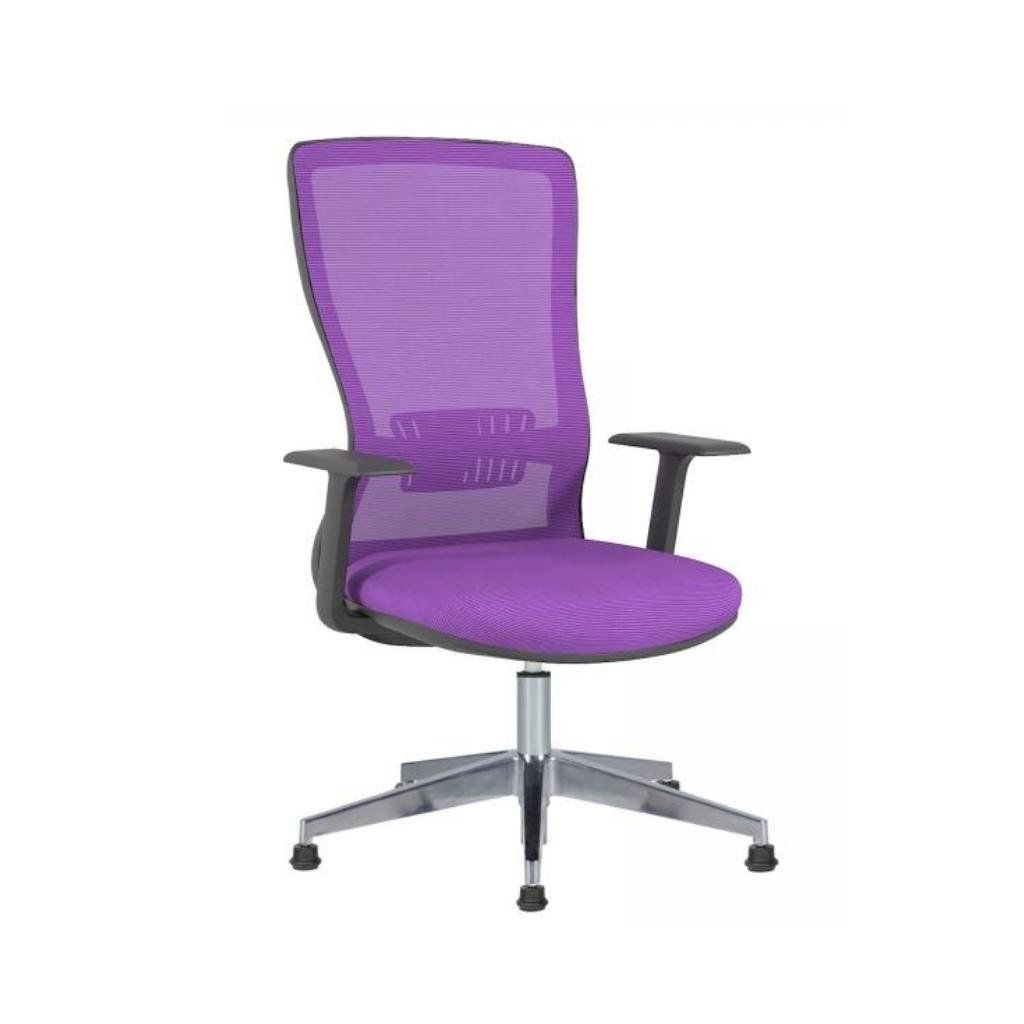 Arya Misafir Koltuk Sabit Kol + Alüminyum Yıldız Ayak