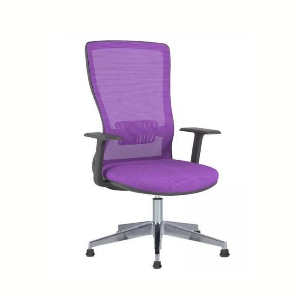 Arya Misafir Koltuk Sabit Kol + Alüminyum Yıldız Ayak