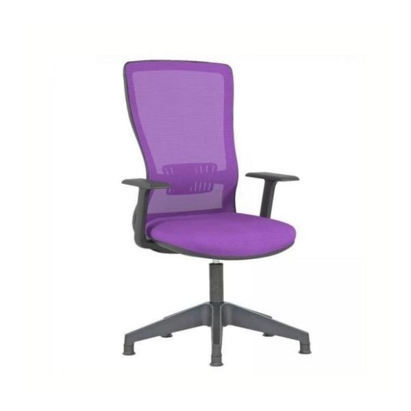 Arya Misafir Koltuk Sabit Kol + Plastik Yıldız Ayak