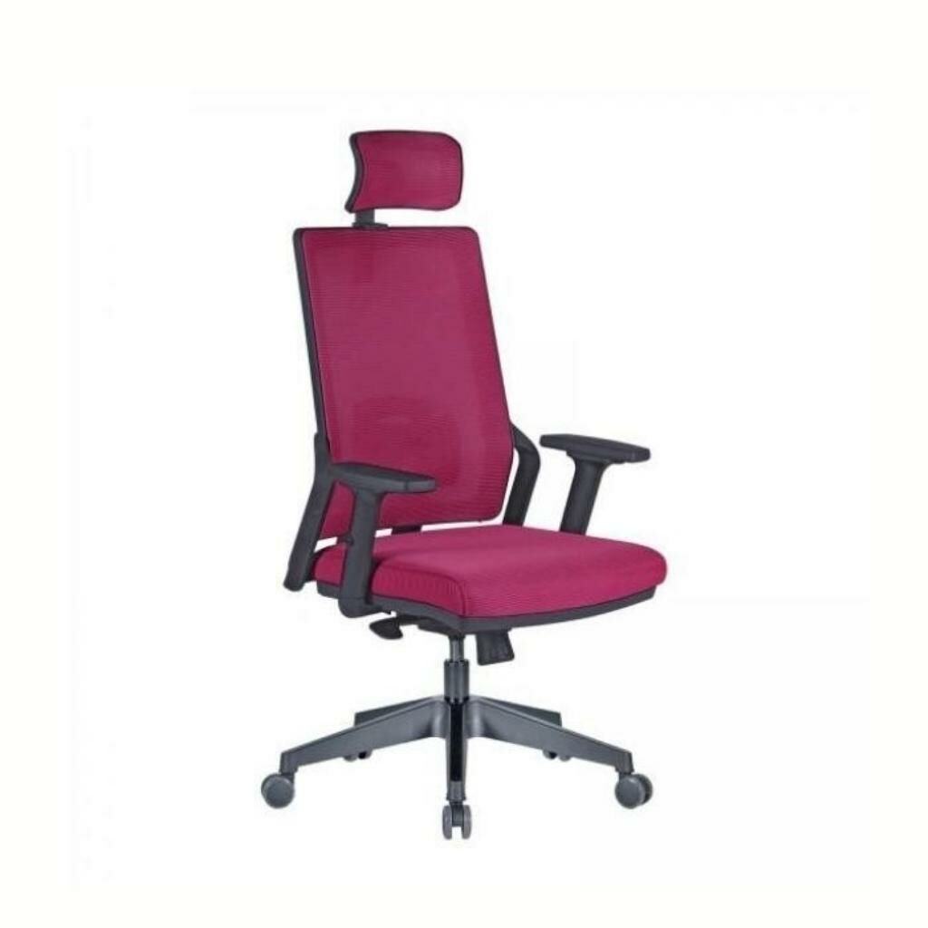 Tekno Müdür Koltuk Plastik Ayak + Ayarlı Kolçak + Bel Destekli