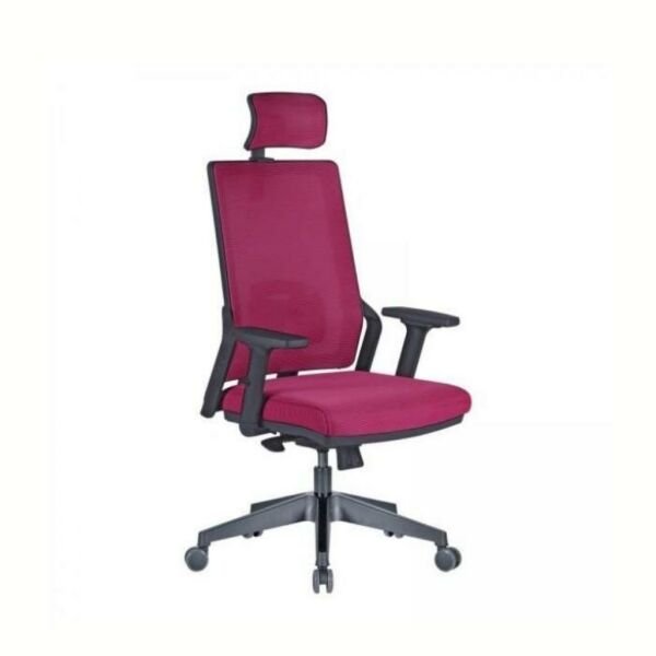 Tekno Müdür Koltuk Plastik Ayak + Ayarlı Kolçak + Bel Destekli