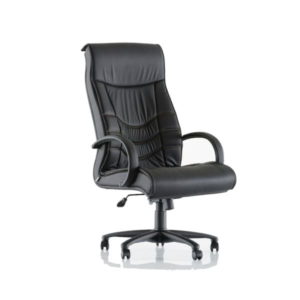 Style Yönetici Koltuğu Plastik Kolçak + Plastik Ayak