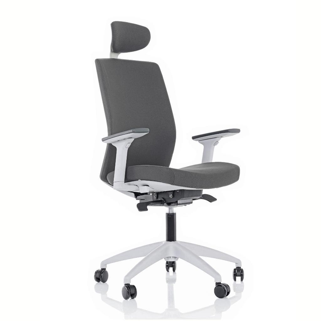 Venus Yönetici Koltuğu 3D Ayarlı Kolçak + Plastik Ayak