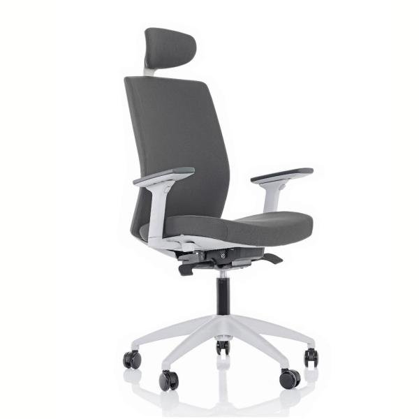 Venus Yönetici Koltuğu 3D Ayarlı Kolçak + Plastik Ayak