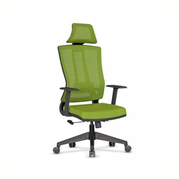 Eden Yönetici Koltuk